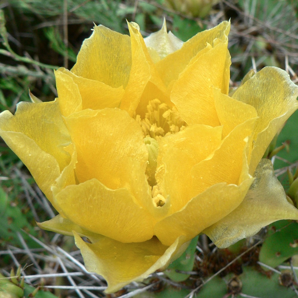 Meet your Posher, Lois